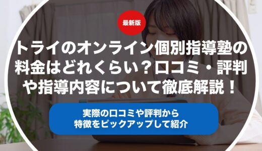 トライのオンライン個別指導塾の料金はどれくらい？口コミ・評判や指導内容について徹底解説！