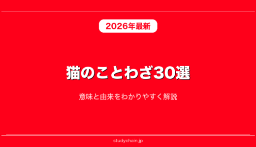 猫のことわざ30選！意味と由来をわかりやすく解説